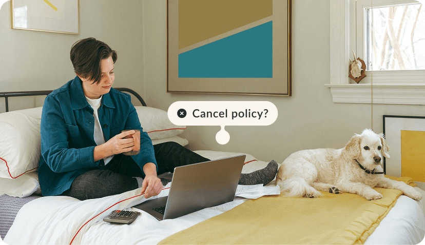 Person sitting on a bed in front of a laptop with a dog laying next to them. The tag reads " Cancel policy?"